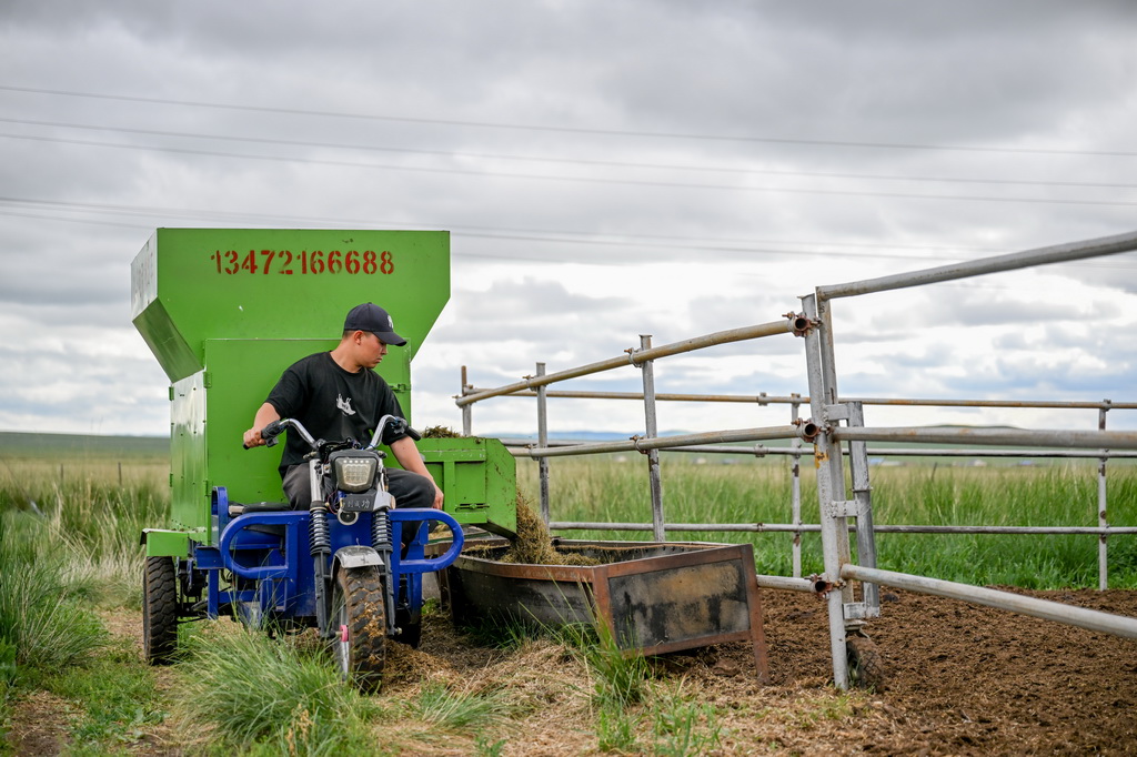 ��ľϣ���ڽo��ţͶ�Ų��ϣ�7��16�Քz����31�q�İ�ľϣ����������������͏������Kľ��D�²�����2018��Ķ��_˹��W�w�����ص����l���I��ͥ�������挦�݈��˻�������Ʒ�|�͵Ȇ��}�����e�O푑�����̖�٣�ͨ�^������Ⱥ�Y����������ţ��Ϣ�n����������ţ���似�g���e�룬�Ƅ��������F���B�����Ҽ�Ŀǰ����4000���݈�����60���^���Aĸţ��������׃�٣��݈����B���@���ơ�����ľϣ���f�����Bģʽ�������ţƷ�|�ͳ��ڃr���Bţ�������^��ǰ�����@���L�����A��ӛ�� �B�� �z